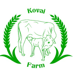 portfolio-image
